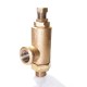 GM Safety Valve Angle Screwed Gund Spring 20kg/cm2 (RMW)